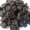 cherry_1_s