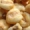 corn_1_s