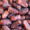 datesseed_2_s