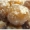 marron_1_s