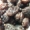 mohabe_1_s