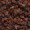 sultanas_2_s