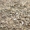 tencha_1_s