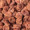 ume_2_s