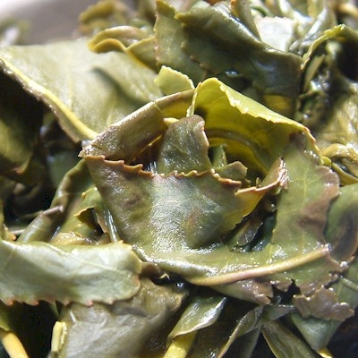台湾茶:阿里山茶（特級）_2