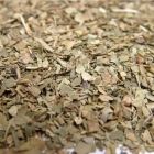 健康茶:ギムネマ茶(ティーバッグ)