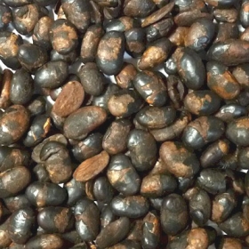 健康茶:無添加100%黒豆茶（ティーバッグ）