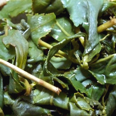 台湾茶:梨山茶_2